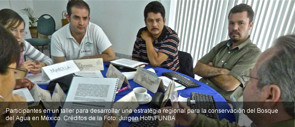 Participación Pública